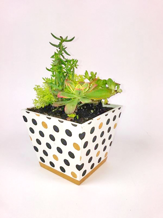 Learn how to stencil an Ikea Vildapel flower pot using the Polka Dot Craft Stencil from Cutting Edge Stencils. The first thing Erika did was tape the four canvases together. http://www.cuttingedgestencils.com/polka-dot-stencils-for-DIY-crafts.html