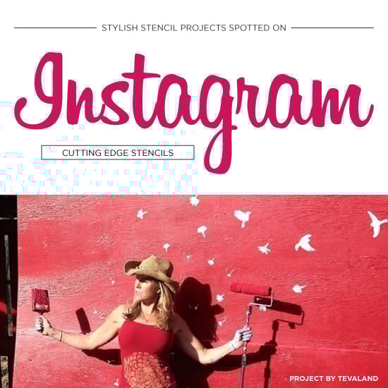 cutting-edge-stencils-diy-stenciled-room-ideas-home-decor-projects