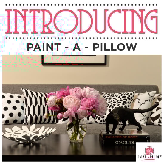 paint-a-pillow-stenciled-pillows