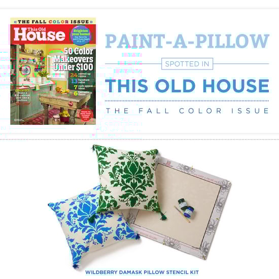 paint-a-pillow-this-old-house-diy-accent-pillows-1
