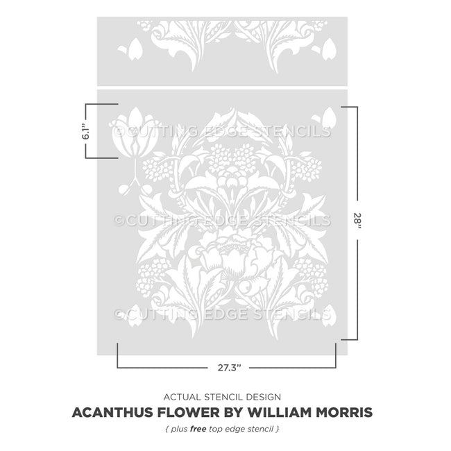 William Morris Acanthus Flower stencil with dimensions on a white background
