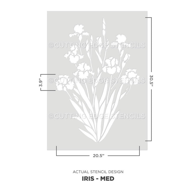 A stencil design preview for an iris plant, shown as a white floral stencil on a light gray rectangular sheet with dimension lines indicating 30.5 inches tall by 20.