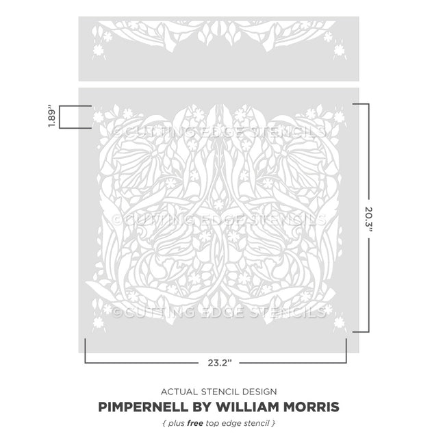 Actual stencil design of Pimpernell William Morris Stencil with dimensions