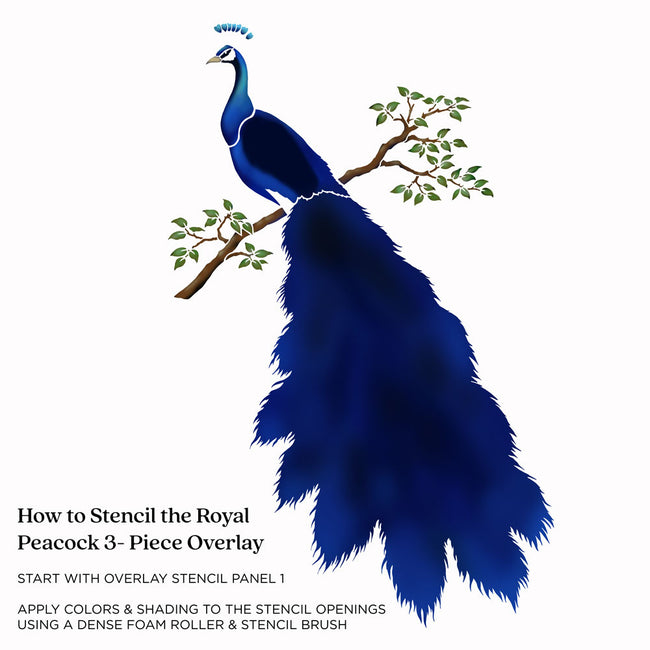 Illustration of a blue peacock on a white background with text about stenciling.