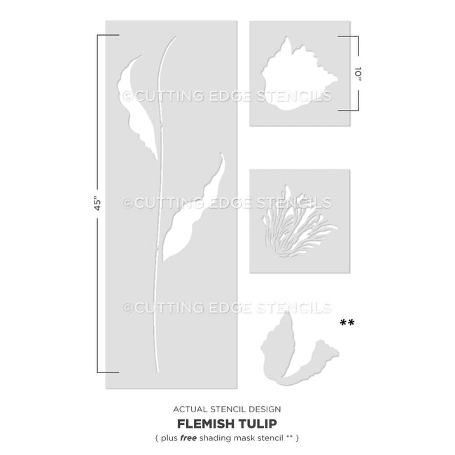 Flemish tulip large flower stencil