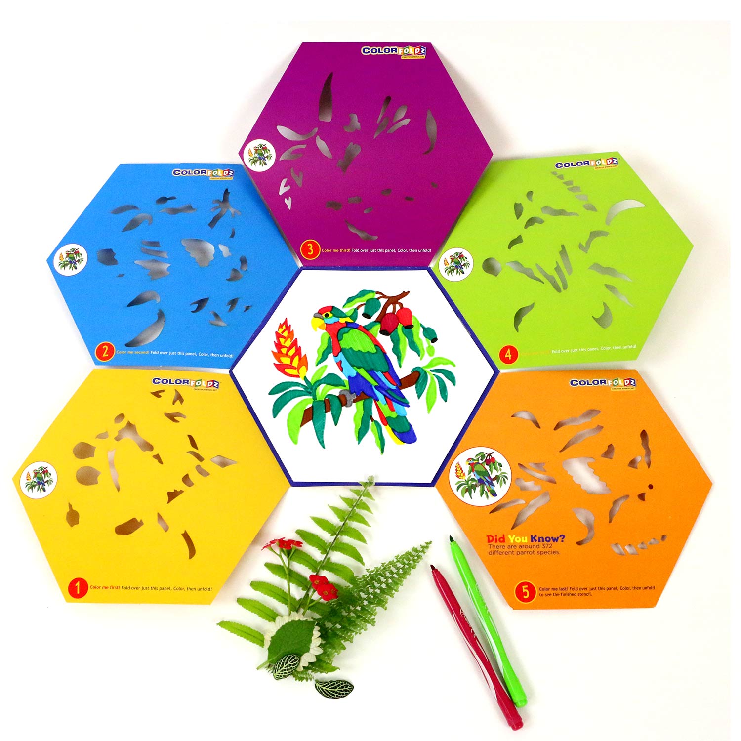 parrot stencil colorfoldz