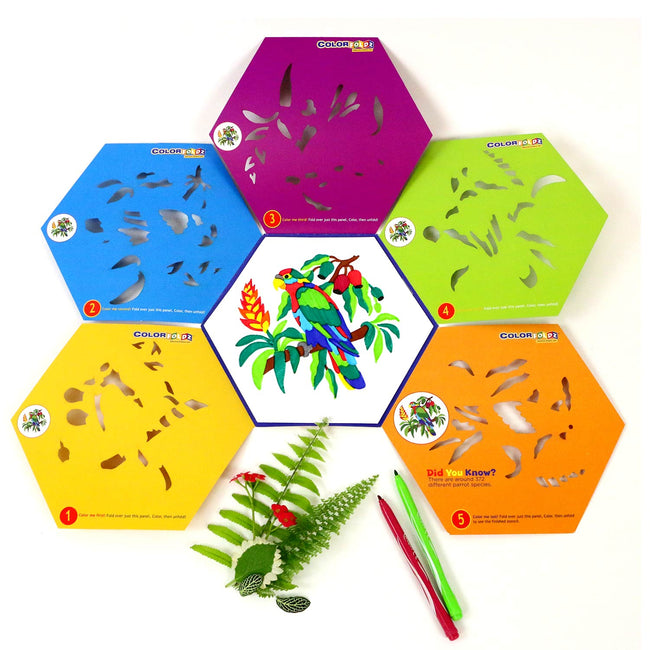 parrot stencil colorfoldz