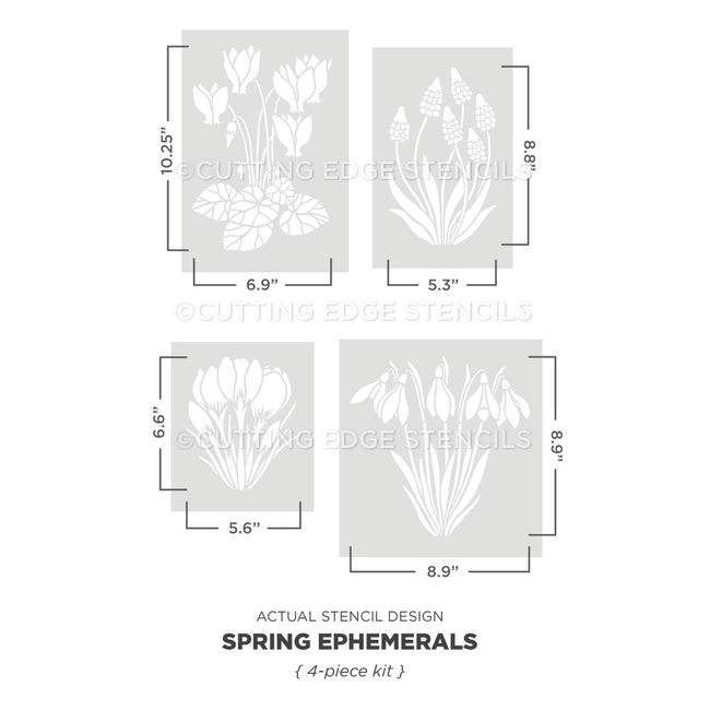actual representation of the spring ephemerals wall stencil kit from cutting edge stencils