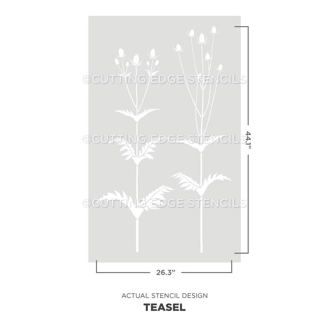 giant teasel stencil for walls