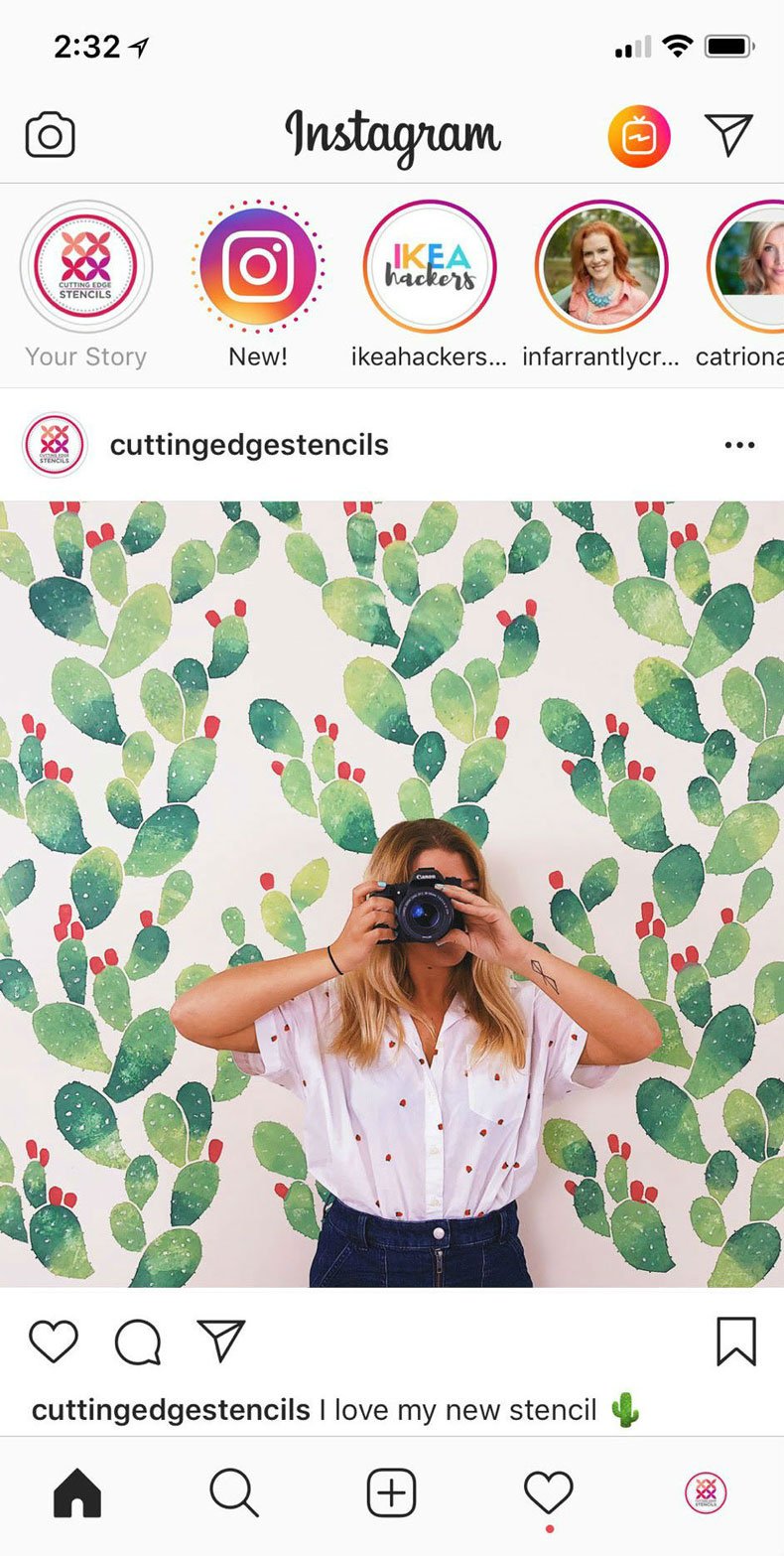 instagram cactus wall feed