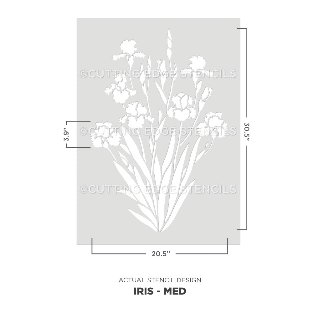 A stencil design preview for an iris plant, shown as a white floral stencil on a light gray rectangular sheet with dimension lines indicating 30.5 inches tall by 20.