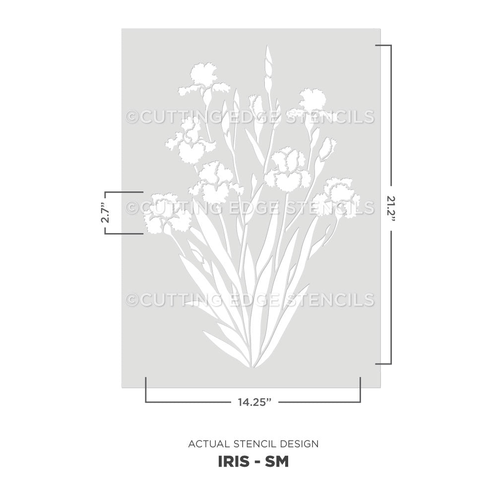 A stencil design preview for an iris plant, shown as a white floral stencil on a light gray rectangular sheet with dimensions.
