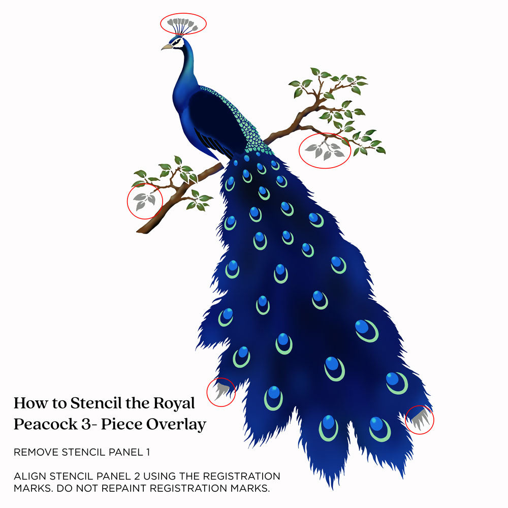 Illustration of a peacock with instructions on how to stencil it.