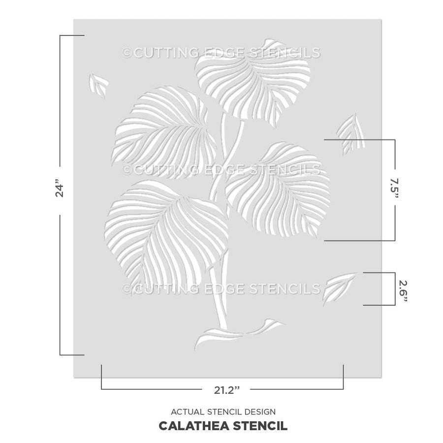 calathea wallpaper pattern tropical stencil design