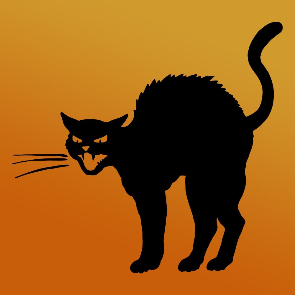 Angry Cat Stencil | Stencil of Hissing Cat for Painting