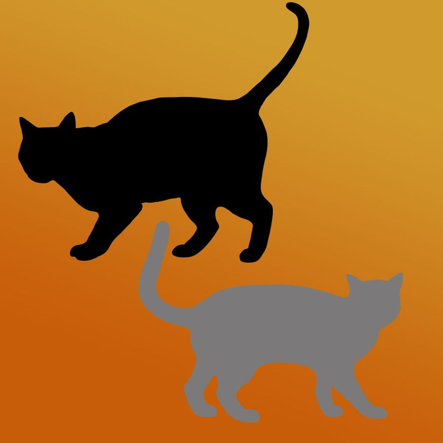 halloween-stencils-design-cats-grey-black-craft