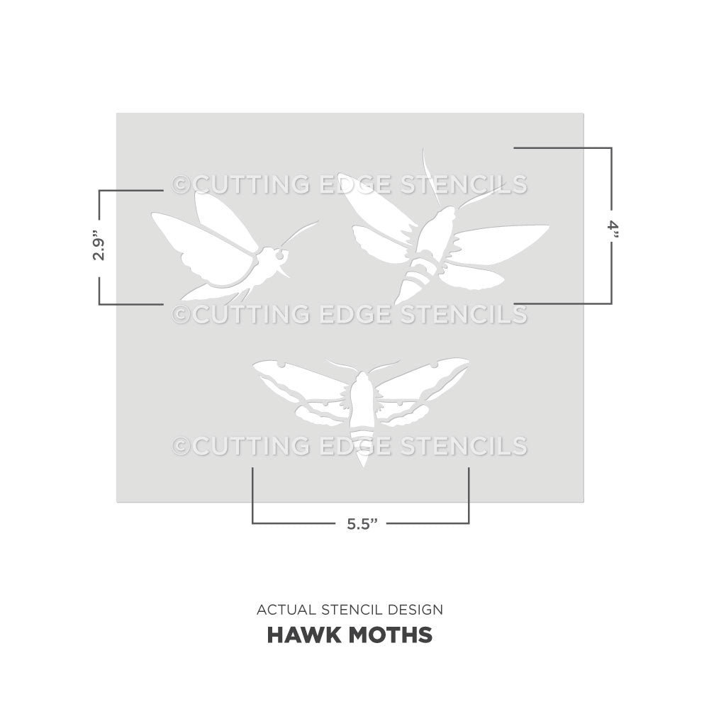 hawk moths stencil from cutting edge stencils