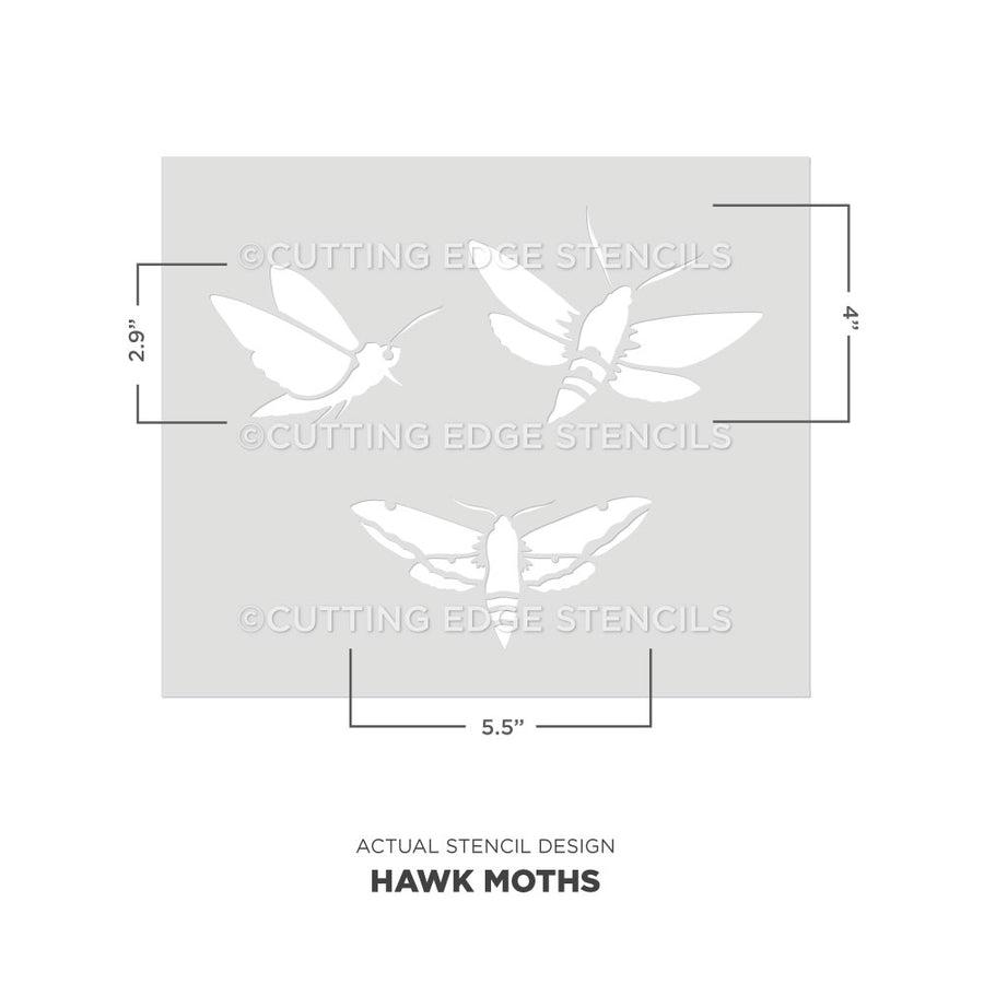 hawk moths stencil from cutting edge stencils