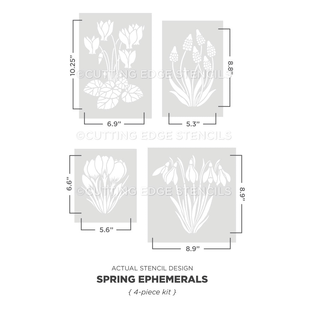 actual representation of the spring ephemerals wall stencil kit from cutting edge stencils