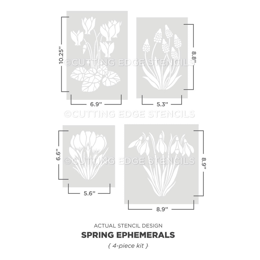 actual representation of the spring ephemerals wall stencil kit from cutting edge stencils