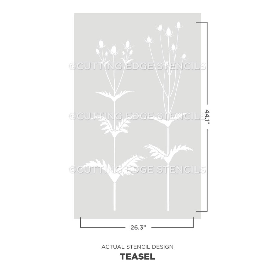 giant teasel stencil for walls
