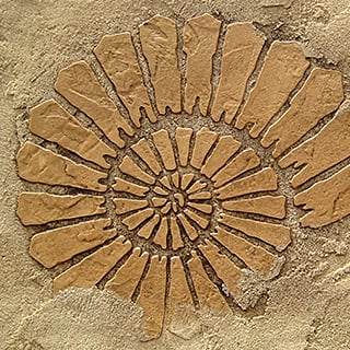 Fossil Stencils