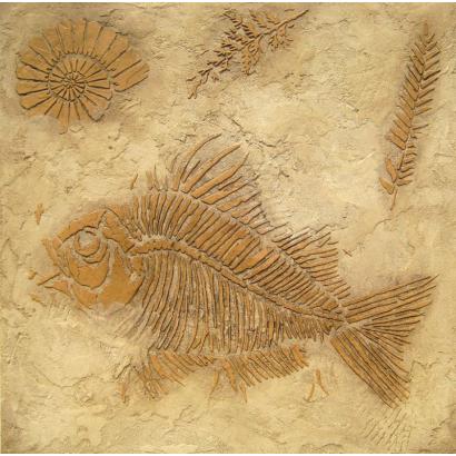 Prehistoric Plant Fossil Stencil